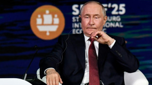 Wirtschaftsforum in St. Petersburg beginnt - AfD-Politiker zu Gast 