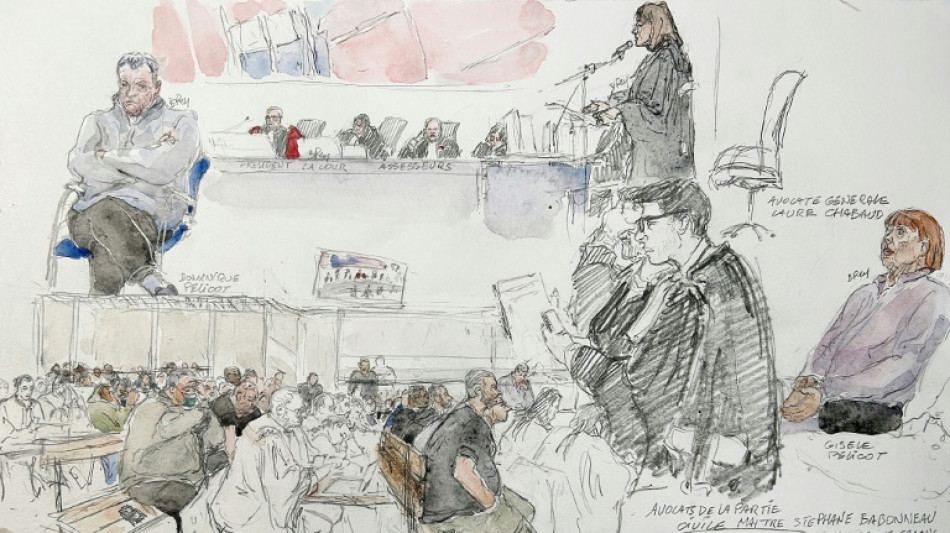 Proc&egrave;s des viols de Mazan: les peines requises contre les 51 accus&eacute;s