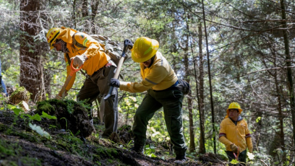 Mexique: op&eacute;ration massive de recherche de corps de disparus