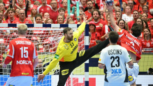 Wolff frohlockt: "Dann schlagen wir die D&auml;nen im Finale"