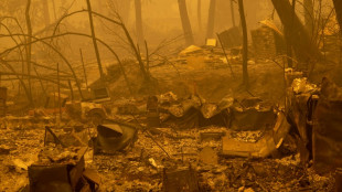 Miles obligados a evacuar en California por el mayor incendio en lo que va del a&ntilde;o