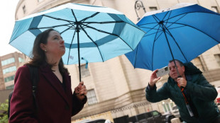 Despiden a la fiscal estadounidense del caso Epstein