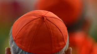 Abuse scandal in focus in search for new pope