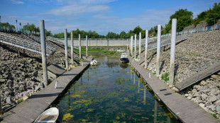Stranded boats, out-of-work fishermen as Danube hits record lows