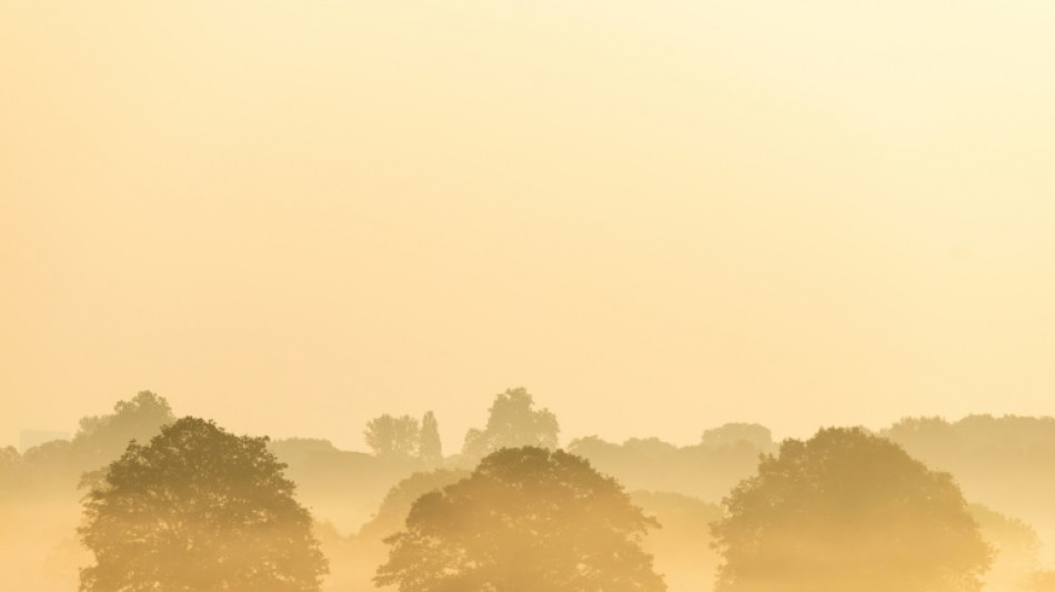 More climate records under threat as spring heatwave bakes western Europe