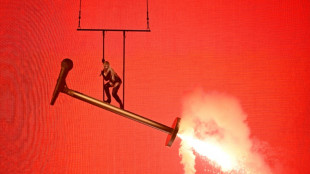 Austrian opera, Finnish lust through to Eurovision final