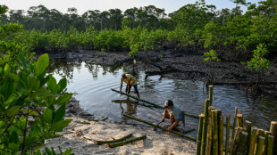Qui prot&egrave;ge les gardiennes? Les Philippines &agrave; la rescousse des mangroves