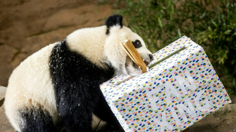 Sp&auml;te &Uuml;berraschung: Es ist ein M&auml;dchen 