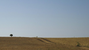 Sequ&iacute;a r&eacute;cord a mediados de julio en Europa y en el Mediterr&aacute;neo