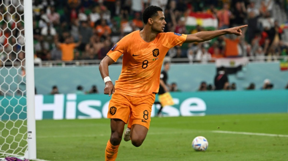 Netherlands strike late to beat Senegal on World Cup return