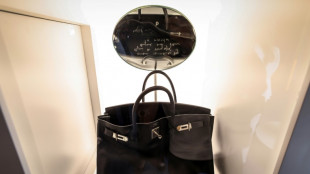 Un sac Birkin ayant appartenu à Jane Birkin vendu près de 2,5 millions d'euros à Abou Dhabi