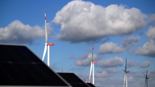 Klimaschutz im Koalitionsvertrag: Fridays for Future fordert mehr Anstrengungen