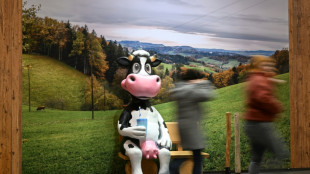 Fromage le soir, nuit de cauchemars ? 