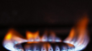 Il gas apre in rialzo sul mercato di Amsterdam (+2,6%)