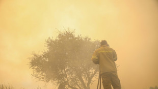 Boats rescue tourists as forest fire flames threaten Greek beaches
