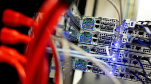 L'Irlande, pilier européen de l'informatique, face au coût énergétique de l'IA