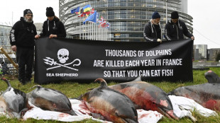 Cadavres de dauphins au Parlement europ&eacute;en pour contraindre Paris