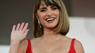 Brad Pitt, Pen&eacute;lope Cruz et Marion Cotillard au festival de cin&eacute;ma de Saint-S&eacute;bastien