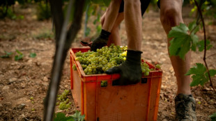 La Pen&iacute;nsula Ib&eacute;rica sufre una aridez sin precedentes desde hace un milenio