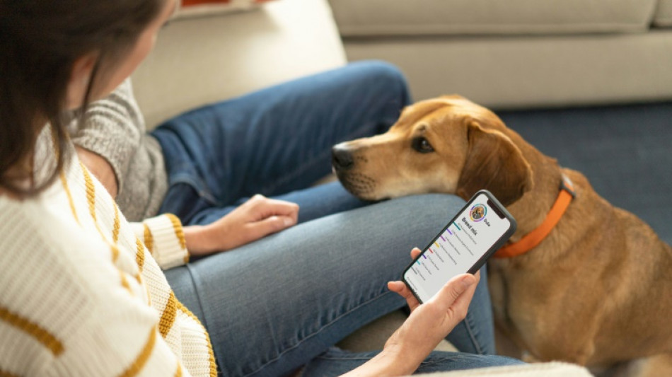 En Estados Unidos est&aacute; de moda hacer pruebas de ADN a los perros