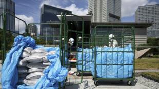 Kontaminierte Fukushima-Erde zu Sitz von Regierungschef in Tokio geschafft