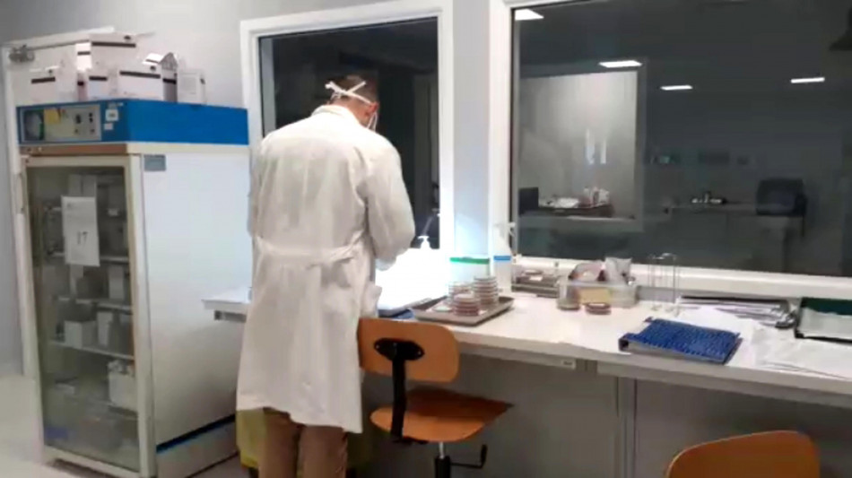 A casa e in auto inaliamo 68.000 microplastiche al giorno