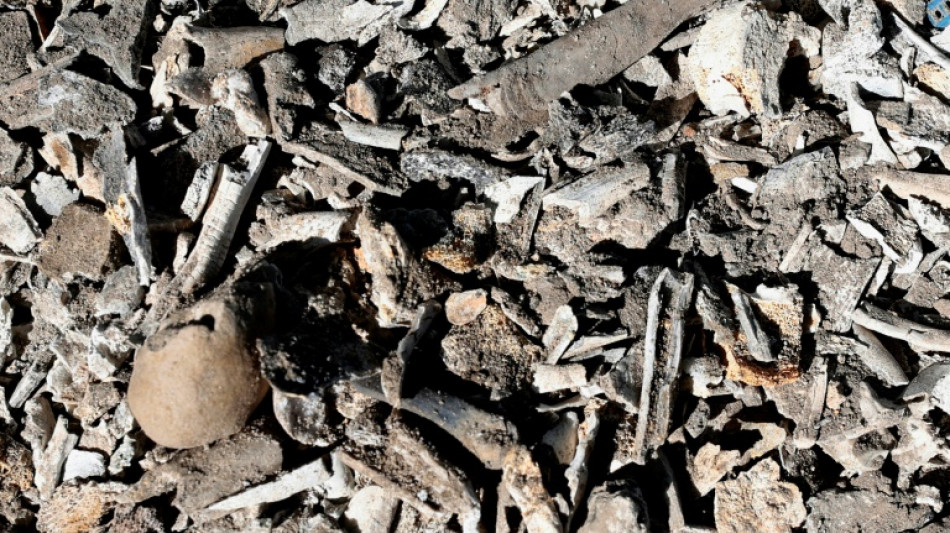 Mexican mayor arrested in probe of alleged drug cartel ranch: govt source