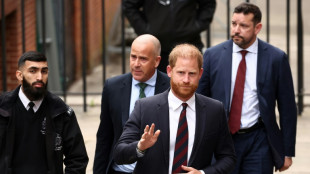 Prozess um Polizeischutz f&uuml;r Prinz Harry fortgesetzt