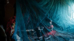 Mortalidade por mal&aacute;ria retrocede ao n&iacute;vel anterior &agrave; pandemia de covid-19