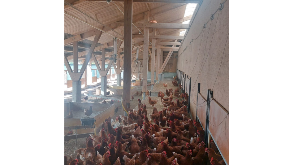 Innovatives Frequenzsystem im Kampf gegen Vogelgrippe